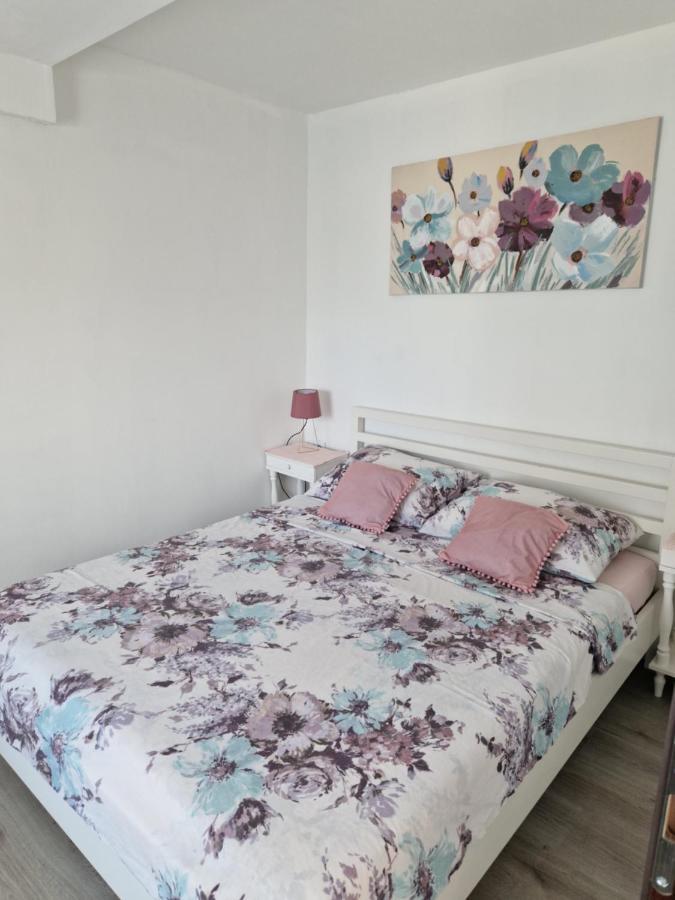 Apartmani Sidro Senj 塞尼 外观 照片